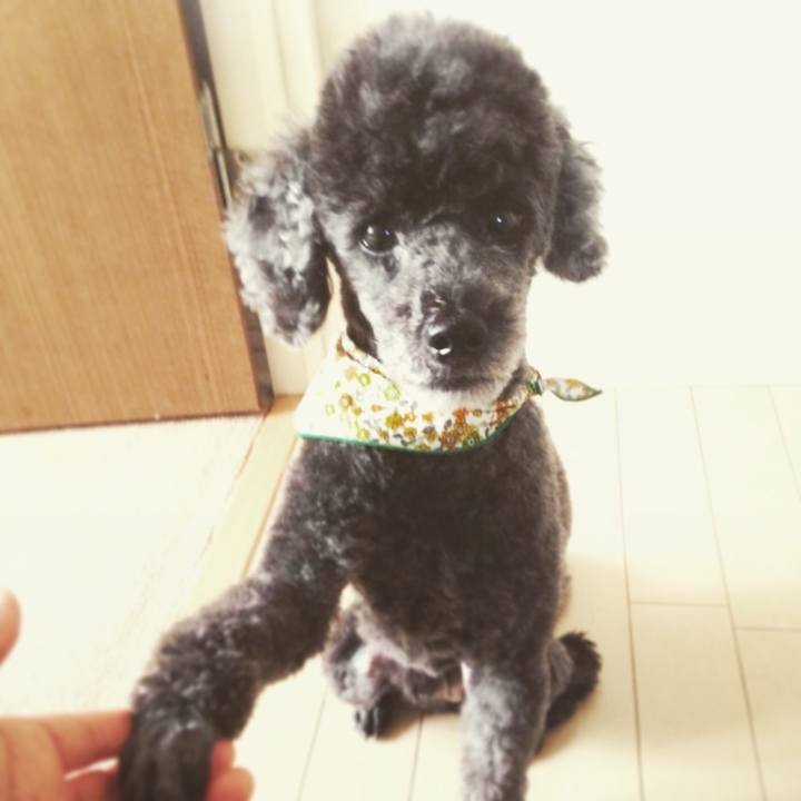 65dc5995 bd38 412f a49b 4a69651894a7