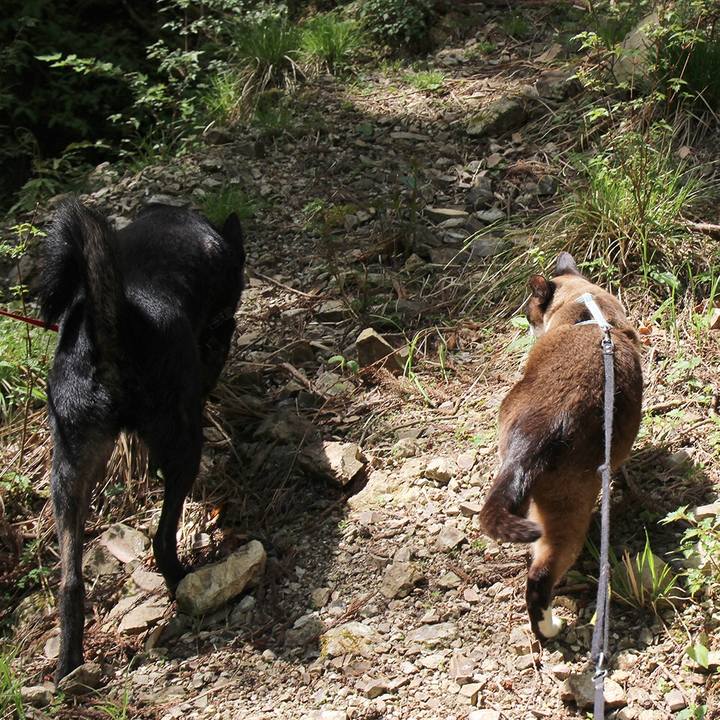 65dd788e d4a1 4629 943b db2ac0d0da82