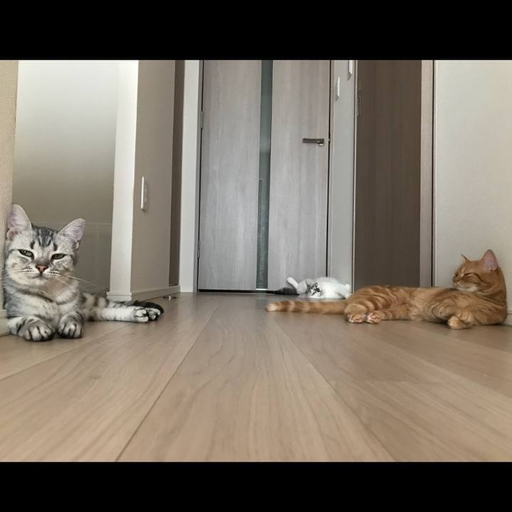 65dd7f03 335f 44dd 93be 879a51243ed2