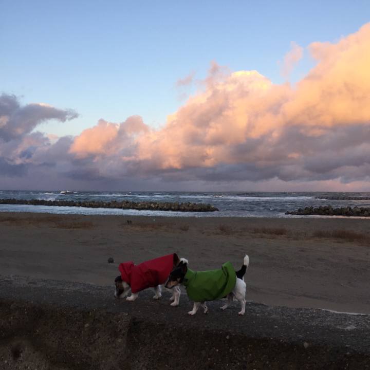 65dda012 fc87 4afb 8fa0 0a0315a16d53