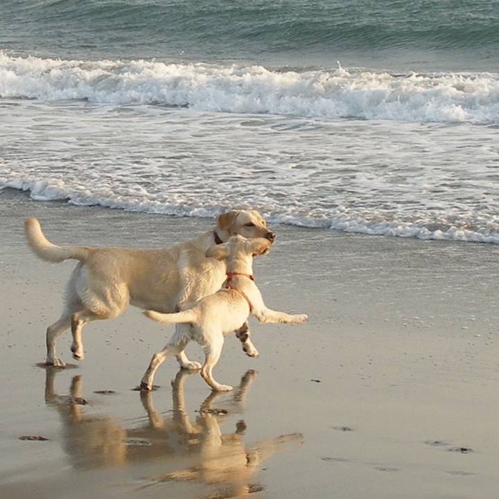 65ddf45b 49d5 419b afec d2e6d8efc42c