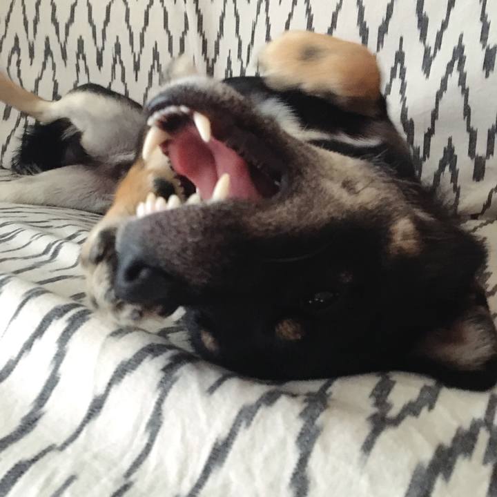 65de07aa 0e60 4865 9e1f af28de7266dc