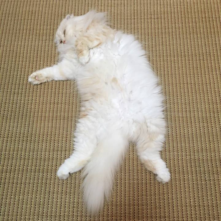 65e04d29 9006 4356 a16c 67191daa0b78