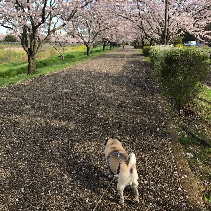 65e16d42 ce94 4861 b3a4 cf78a4c798ee