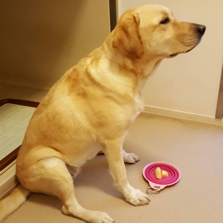 65e17e7a 48e6 438f bb6f c8d387e7b9cf