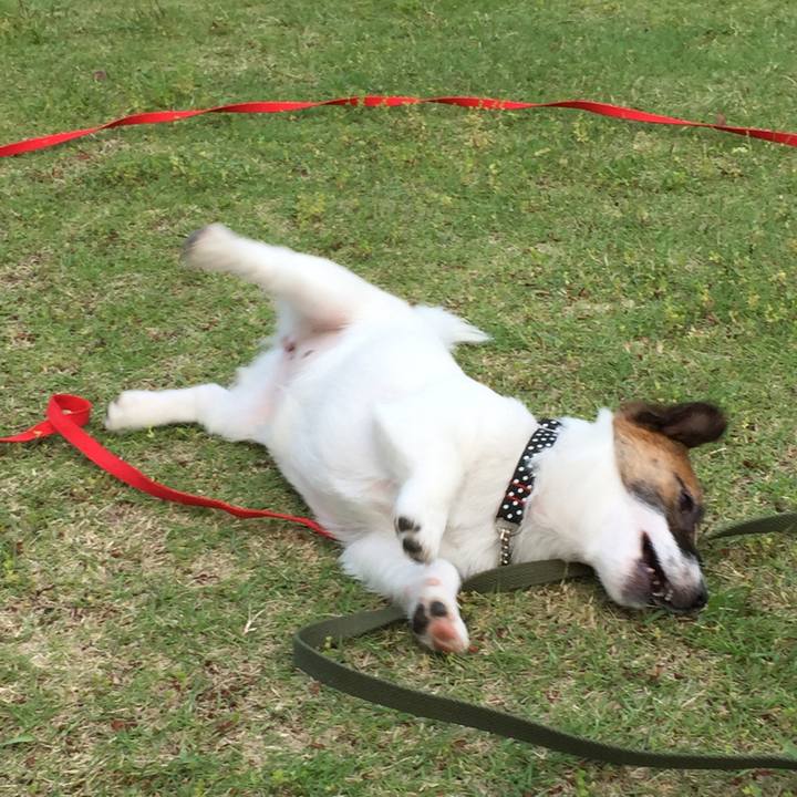 65e26aa3 f3ac 44f6 8ec8 4f7a0aa21775