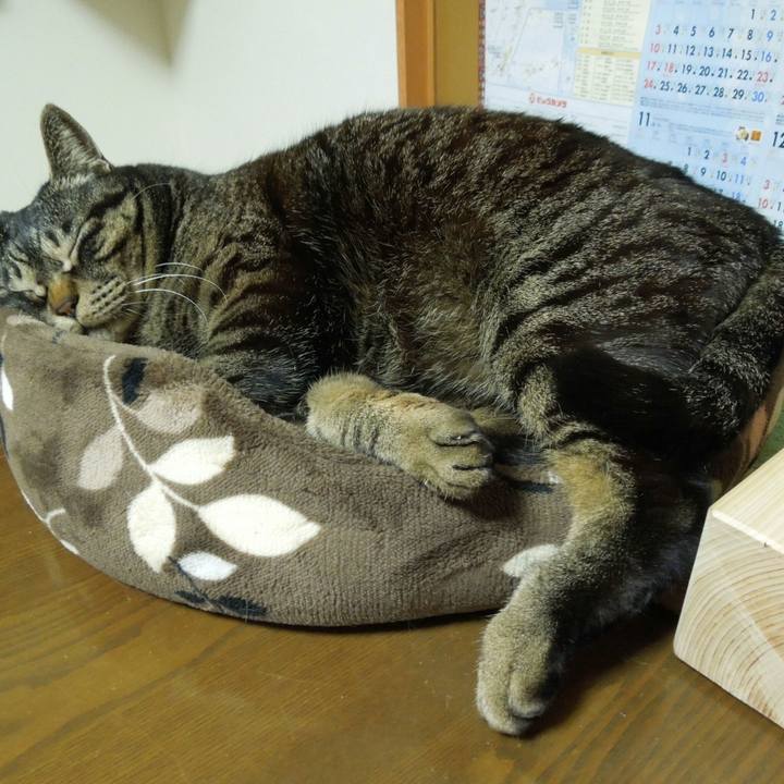 65e2742c 0138 42b0 bbd3 bc41d7e56615