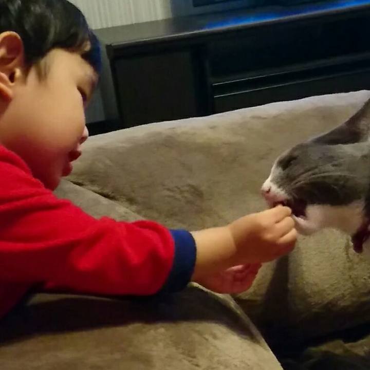 65e2c6d9 305a 4eac 9585 f26decb0bf1f