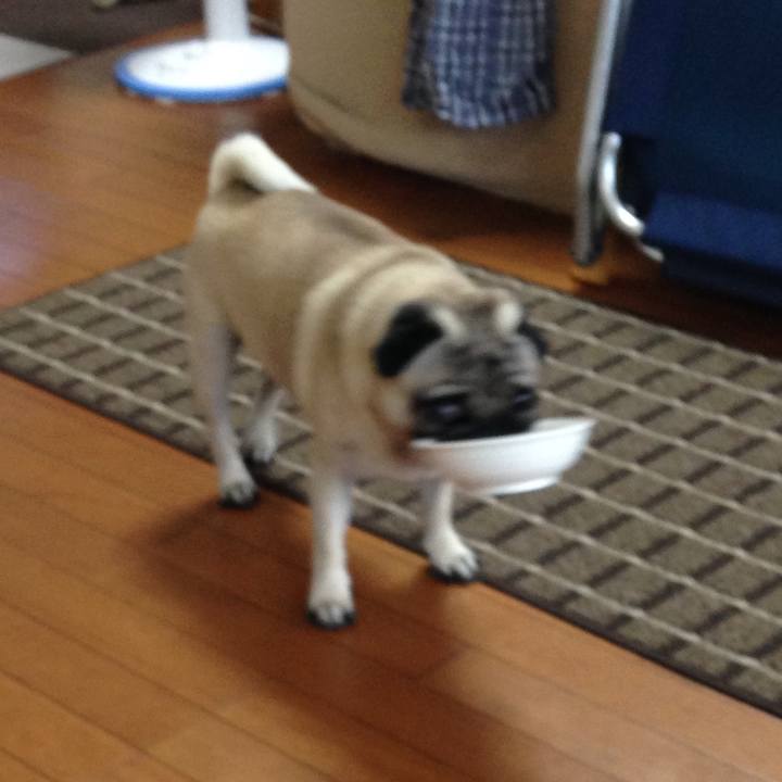 65e2f41a b035 4164 a006 721125b3e667