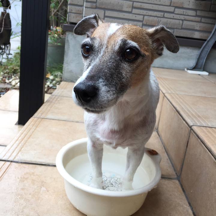 65e3139a f24a 40f3 99a6 2767eb61f2af