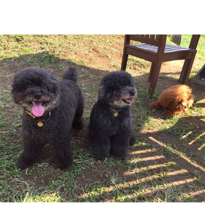 65e350fd ea99 4939 b231 d582879d29a1