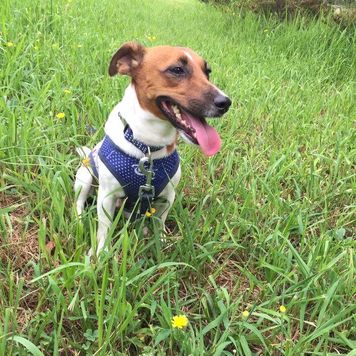 65e35f47 9e8a 478a 9d43 97b1e80dc594