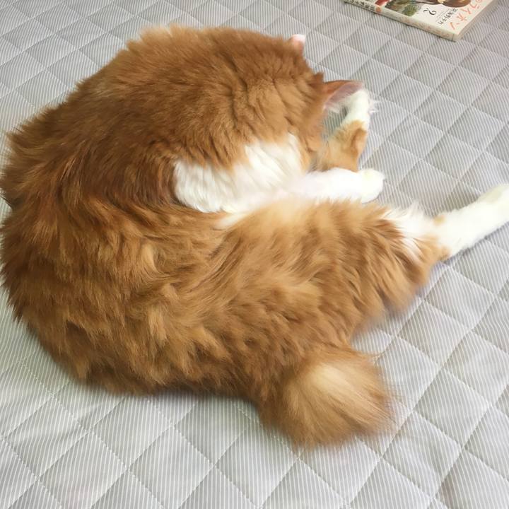 65e39c1d 6b42 4a80 8561 c7d74743dd8f