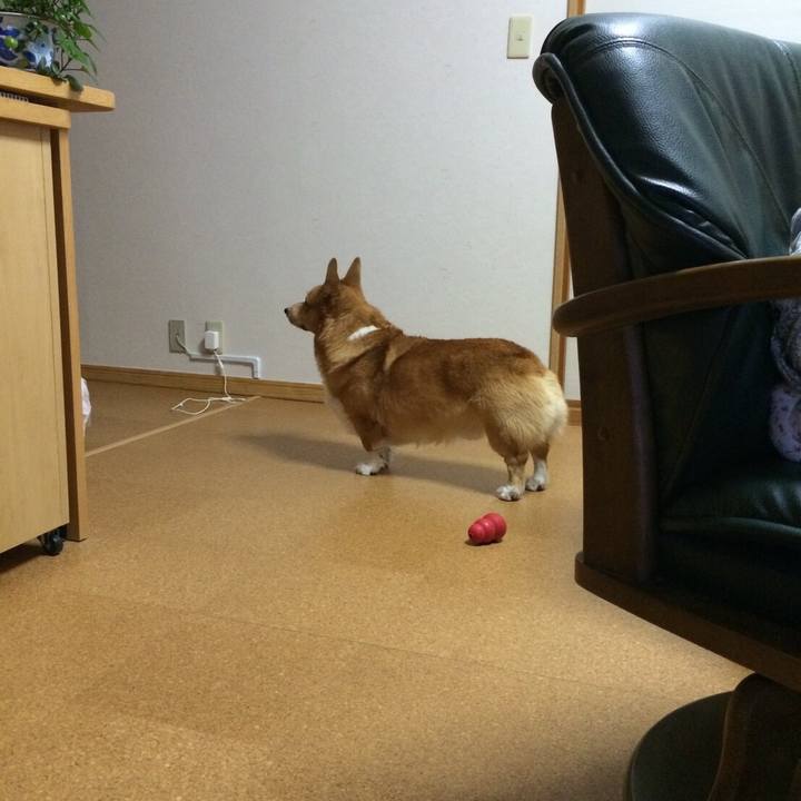 65e4b174 e0f2 4b9a 8cd7 eed8a673658a