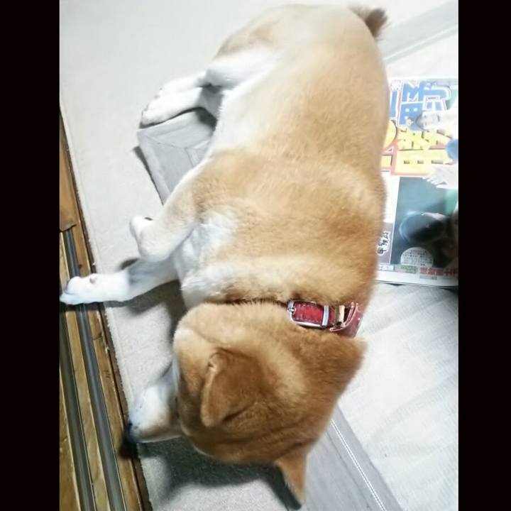 65e4cc39 928e 4e4d 8787 cae8819c9fcb