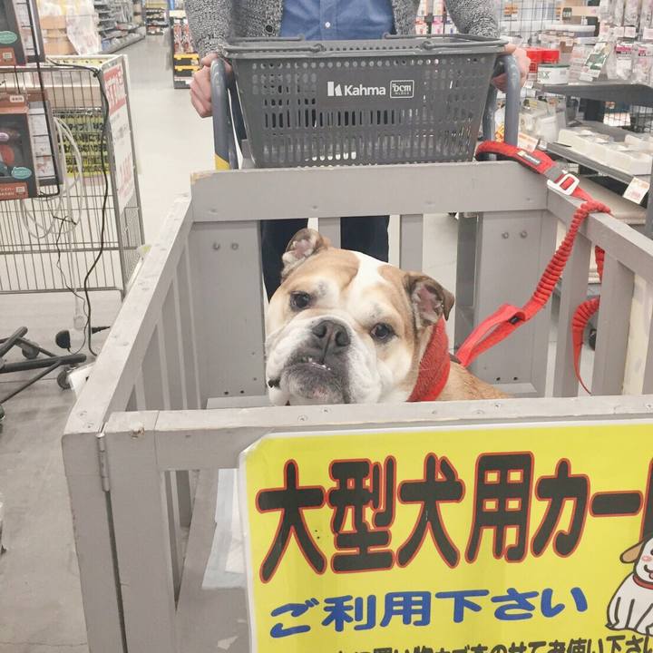 65e4d988 0a56 47c0 8e5b bda1485931d6