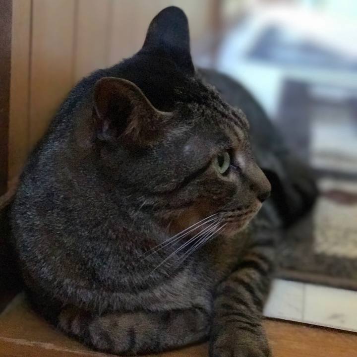 65e52624 eb2e 486f 842a 4850e297c559