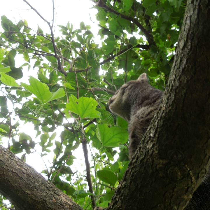 65e52891 2b79 4200 bbf7 241faa5e6081