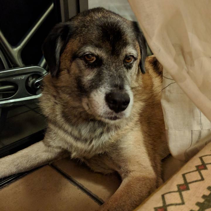 65e53e07 73ca 40f6 a90d 703dcfe0d6e0