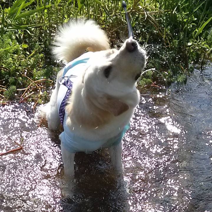 65e58eb2 de05 435e 9704 9e552725a127