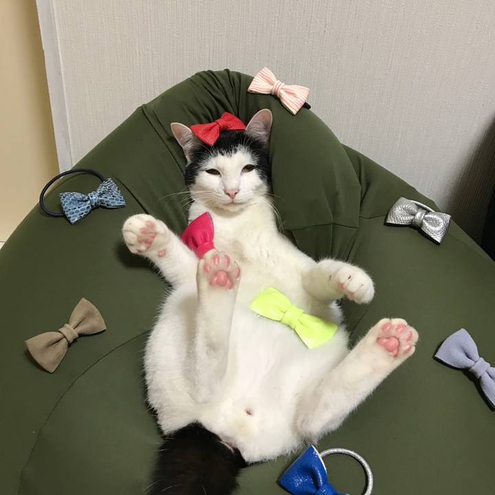 65e6b02e 562b 4a84 be3a 381af68e47b4