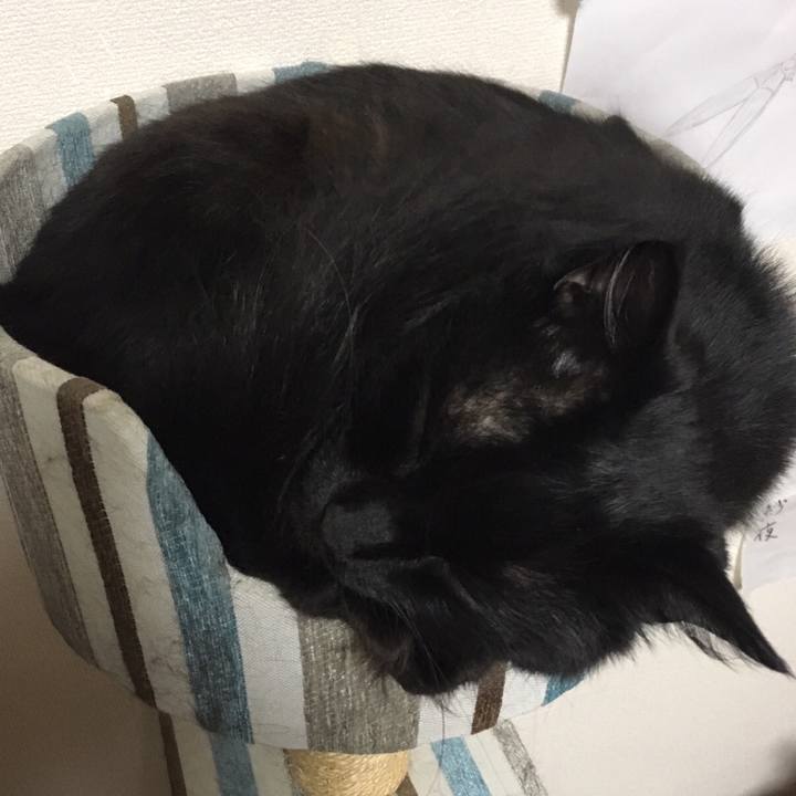 65e6ea06 d4db 408a 93ce 18c6c6d9f750