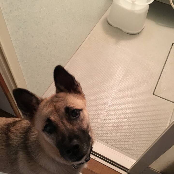 65e6f184 6d7e 450b a5ec ced0659380b6