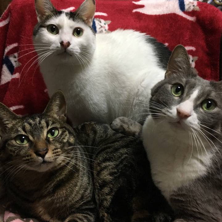 65e6facc 7a54 4986 a202 e05bbf644c36