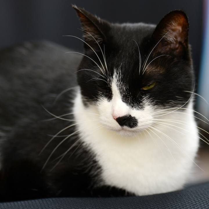 65e7896d 36fe 49c1 a03f 9be040f4b876