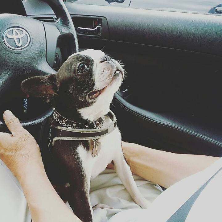 65e78fbf 4fbb 4f4e aaa8 e624441d59e5