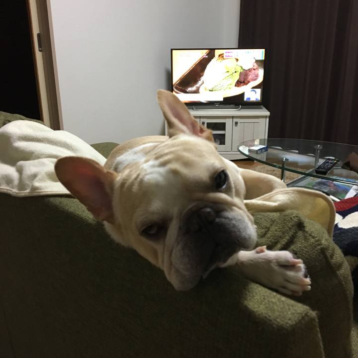 65e7cf7c 57da 4e49 8cfe c914d8999bd4