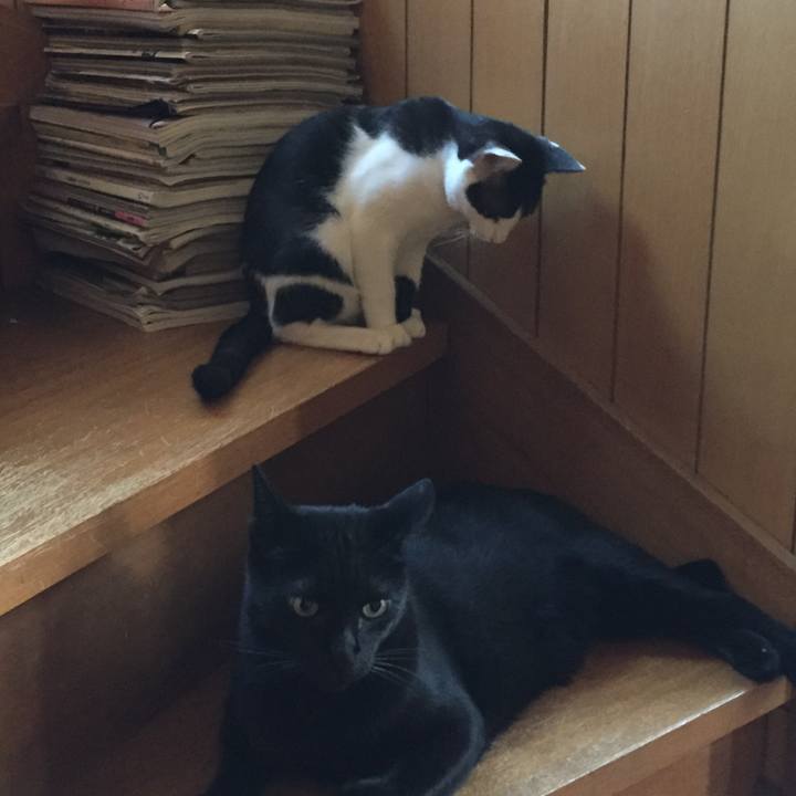 65e83a02 fa10 46dc b030 4aa8ad935205