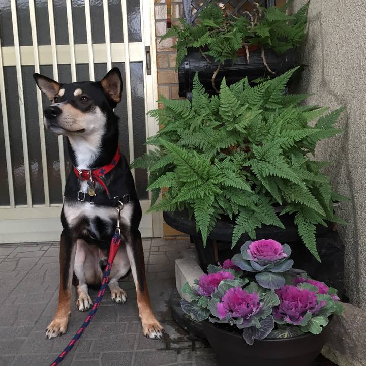 65e88b06 d26d 457b 9d78 3e0c4aa557f9