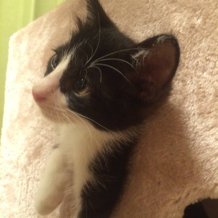 65e8ac39 14f6 4e29 be31 89312895019b