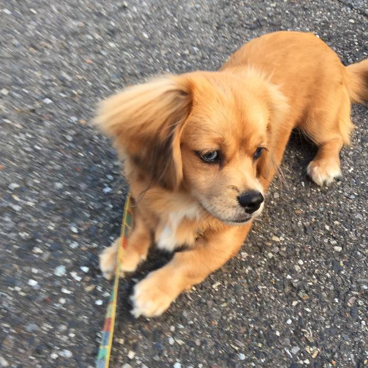 65e90bca 435a 4880 815a 358e07784ace