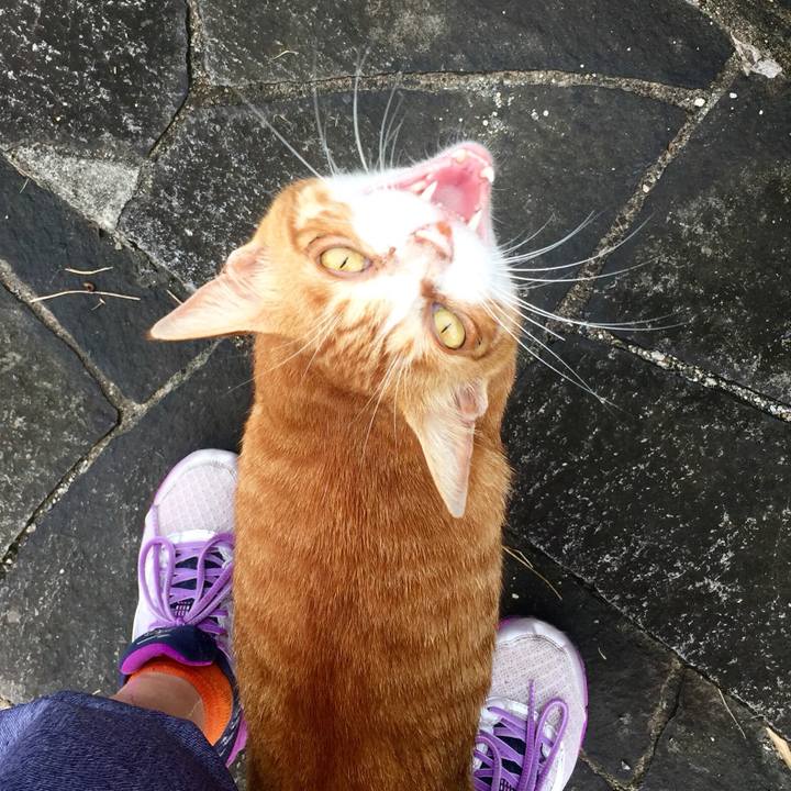 65ea0426 b029 48d3 a103 9ad129354776