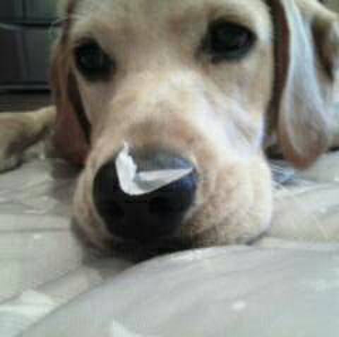 65eaa089 cf97 46cf bedc 0783e047fd22