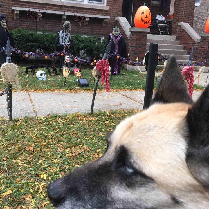 65eab4ef 801e 4082 96df ba1c9ecf060a