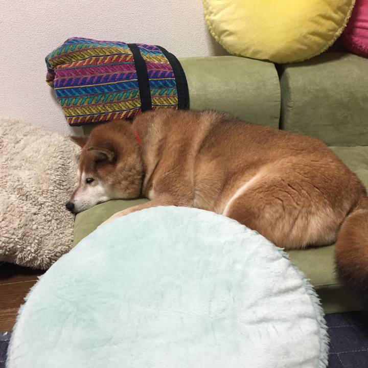 65eb3978 c286 4ae3 b6e4 299508620f27