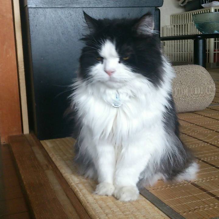 65eb4dd7 5542 420f bc8c 436c35ae58fe