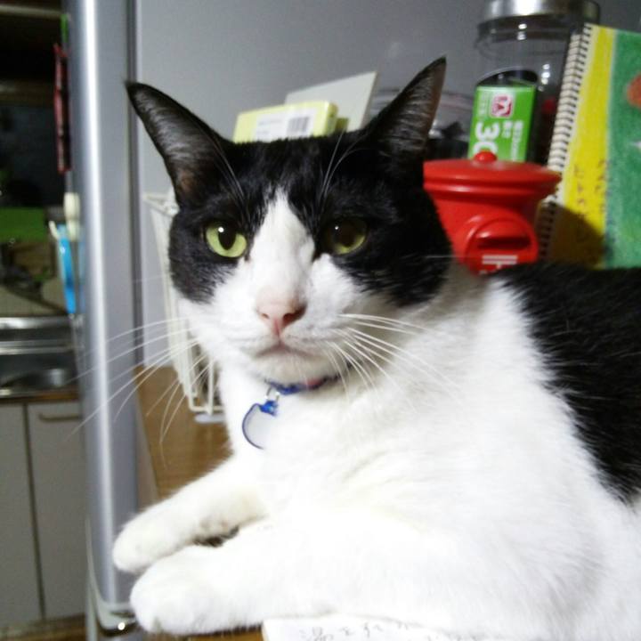 65eb5422 6998 463f 99eb 4dfdd42b2de4