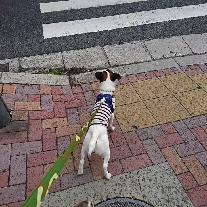 65eb8331 5e75 45e1 9e90 1bd3da12beb6