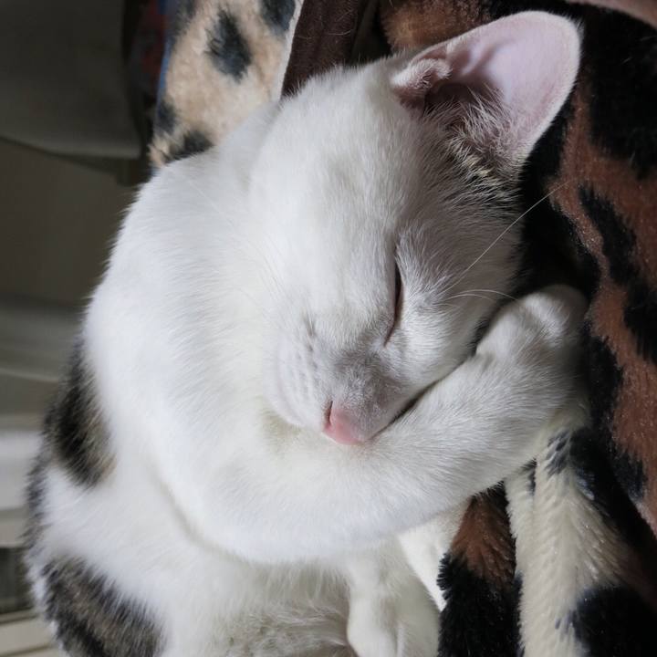 65ebb509 0bad 4089 a0a7 9a6c881be57b