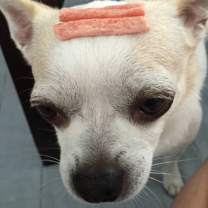 65ebdca4 2668 4efb bfae 0237bdbbe6c9