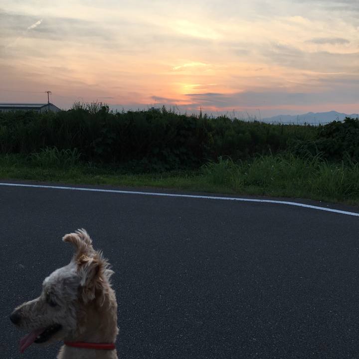 65ec7962 7d8d 49ba 8bef 625a89702c87