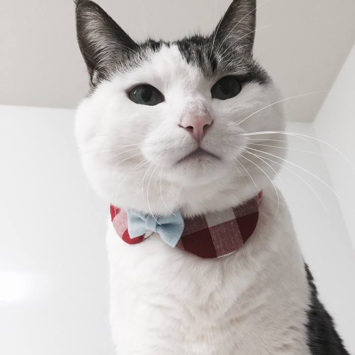 65eca5e3 2f75 4cb0 9ae1 4b9b25d5aa59