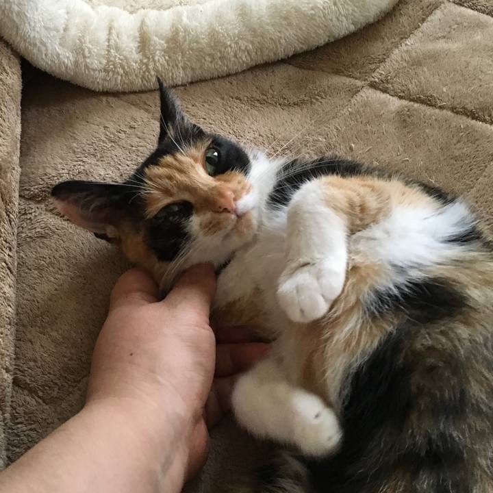 65ed167b 9a2e 46ca a7d5 ccf7e0eda4bf