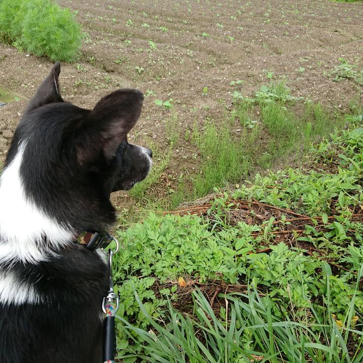 65edd2c4 9655 4ac6 a3cb 9f3a118c79b8