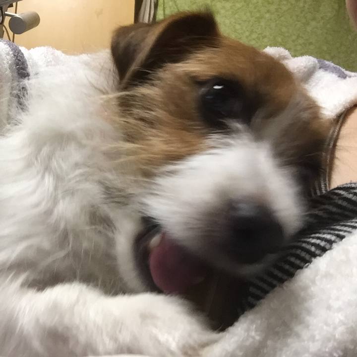 65ede2e5 c210 4911 80ea deafe456c400