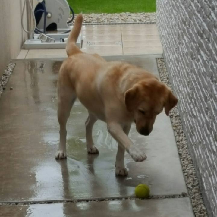 65eefe36 4a95 4b32 89ac dffdb6a8a136